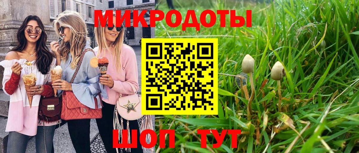 Галлюциногенные грибы Psilocybine cubensis  Шахты 