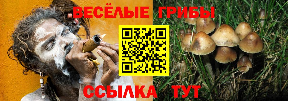 Галлюциногенные грибы мицелий Шахты