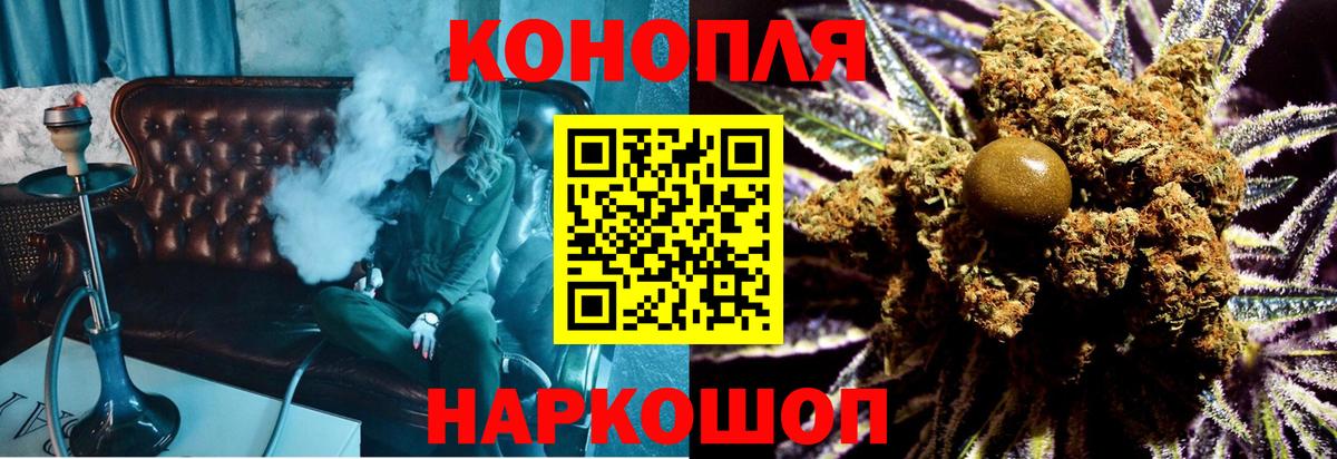 Бошки марихуана конопля Шахты